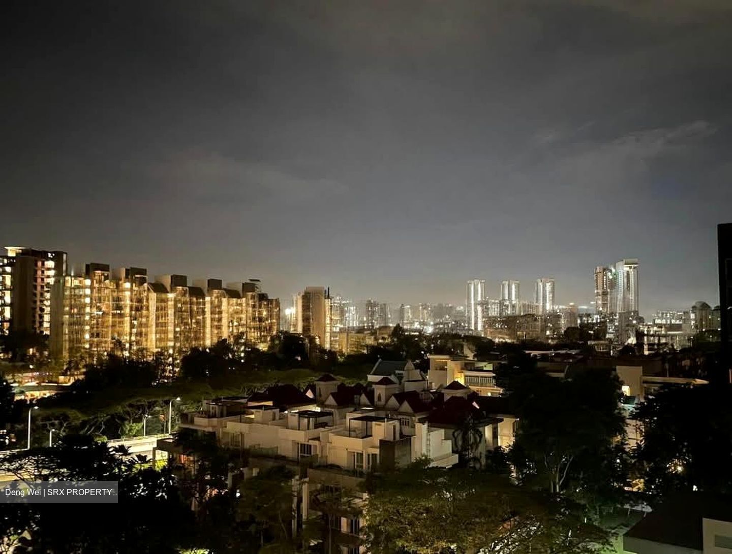 Leedon Green (D10), Condominium #557470621
